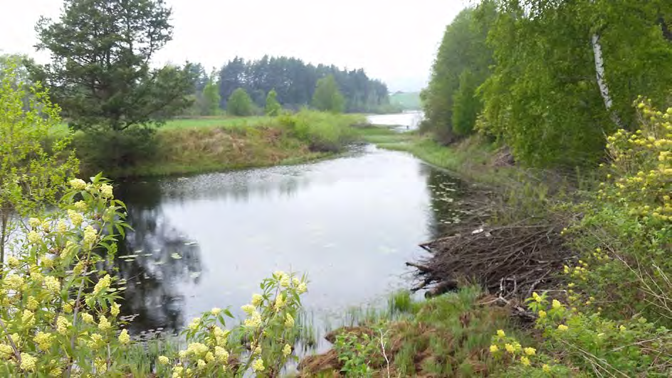 49 av 163 Hvilke konsekvenser vil tiltaket ha for elvas dynamikk, for sedimentasjons- og erosjonsprosesser i Storelva`s delta og elveslette og for is- og råkdannelse?