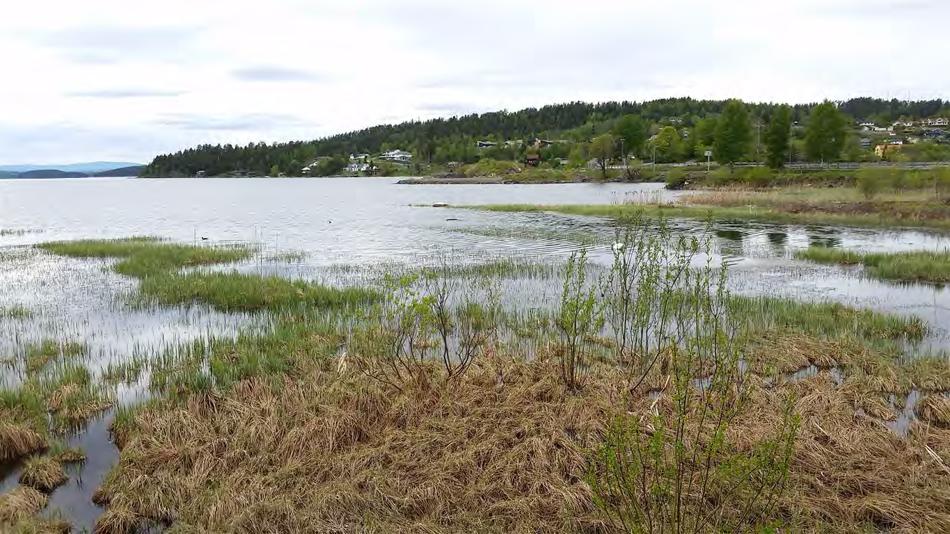 55 av 163 Kroksund). Mælingens funksjon som rasteområde for fugl under flomperioder vil bli redusert, spesielt ved fylling.