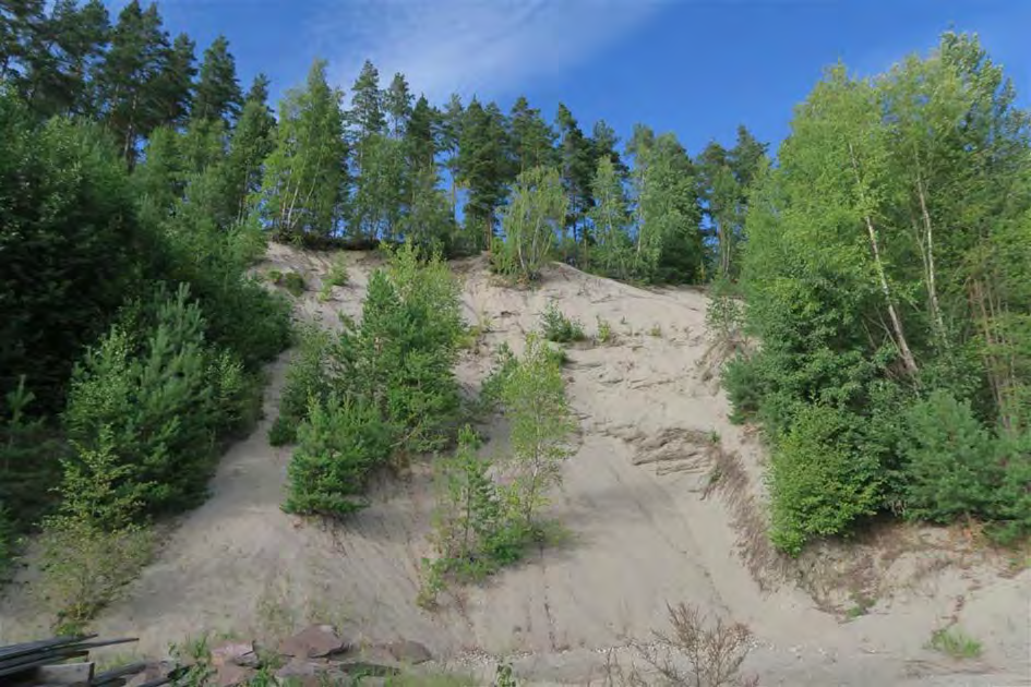 87 av 163 Kriterium Poeng 1. Addisjonalitet: LNF-område (gjelder både dyrket mark og sand- og grustaket).