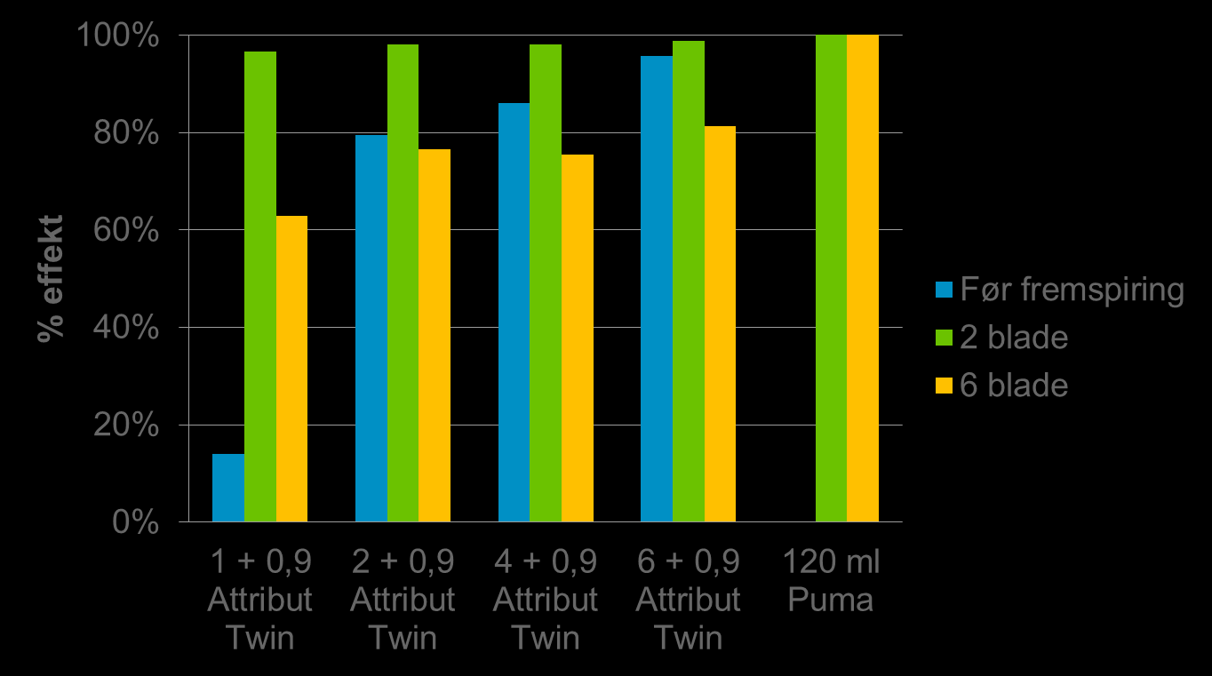 Effekt på vekt av Hønsehirse Attribut Twin Norge I