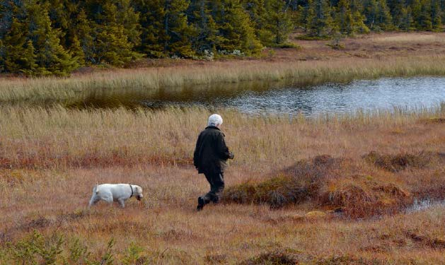 Else går daglige turer på egenhånd Else (89) bor på sykehjem. Før hun fikk plass her, bodde hun alene i egen leilighet.