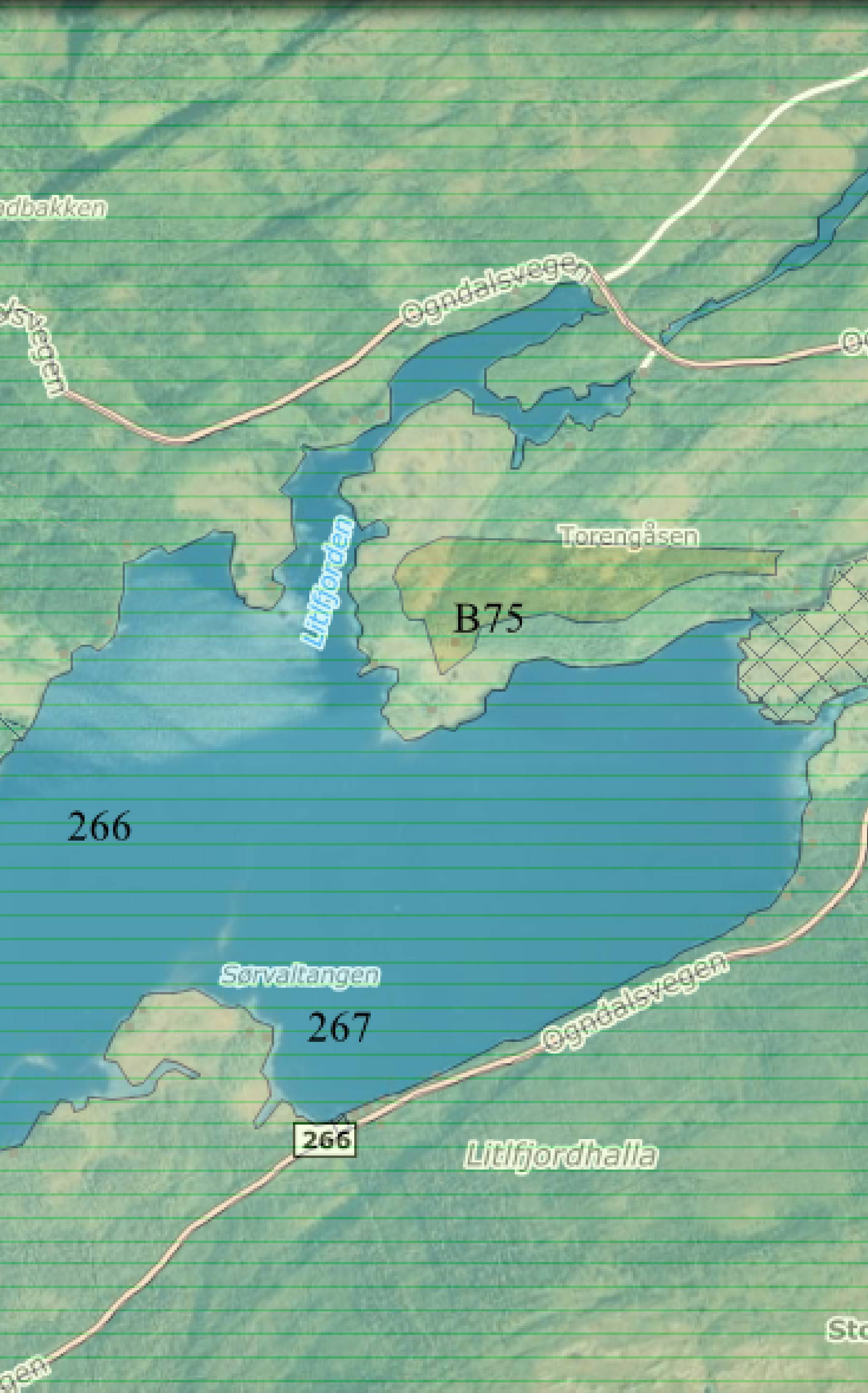 naust Hytteområdets beliggenhet er vist i figur 1 nedenfor Figur 1 Lokalisering av Torengåsen hytteområde (B75) Lustadvatnet Planområdet ligger vel 4 mil øst for Steinkjer sentrum med solrik