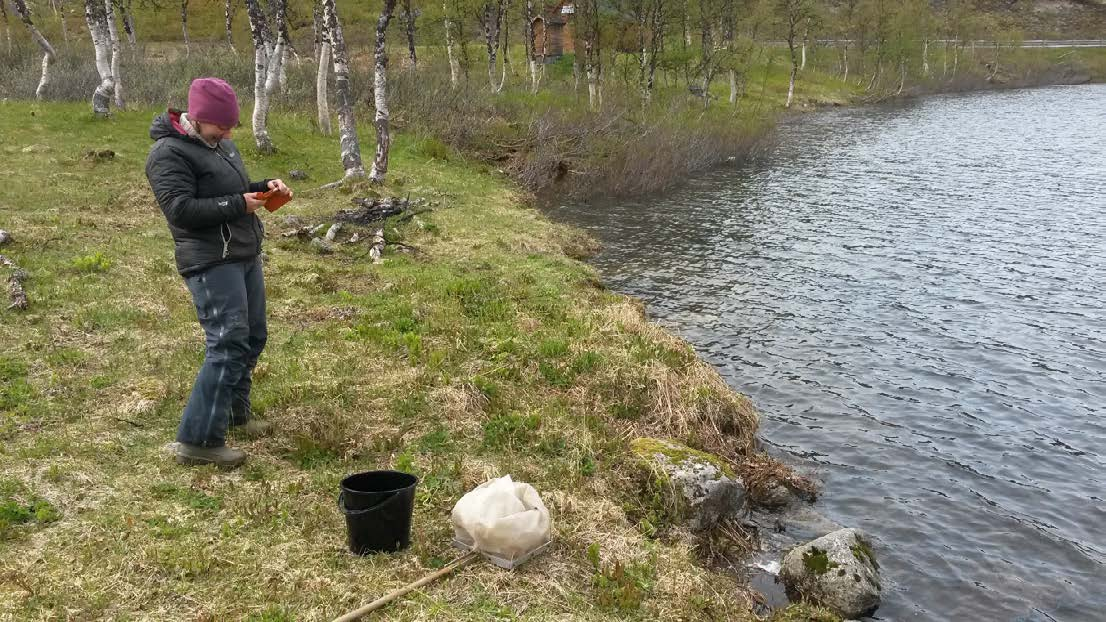 2 Materiale og metoder Feltarbeid ble utført 9. juni 2016. Utvelgelse av bekker og elver som ble undersøkt er gjort av Narvik kommune.