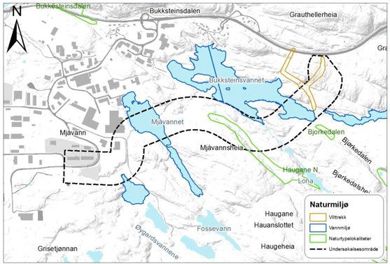 Figur 25: Undersøkelsesområdet berører lokalitet Haugane N (grønn) samt vilttrekk i nord og vannene