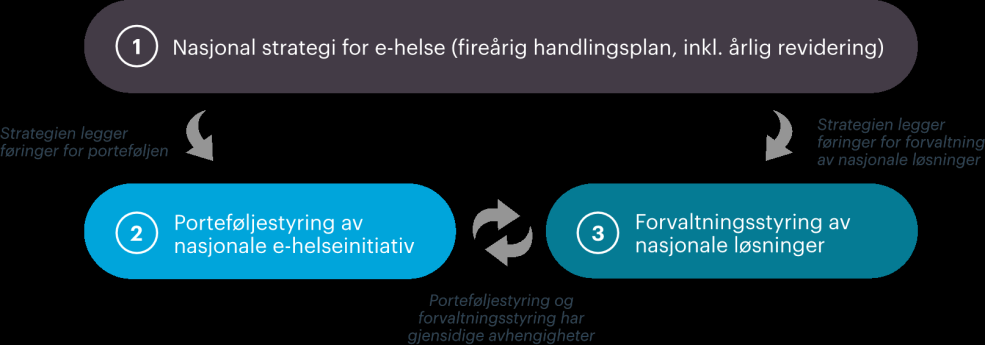 De nasjonale utvalgene skal alle ha en rolle i forbindelse med nasjonal strategi for e-helse, nasjonal porteføljestyring av e-helseinitiativ og forvaltningsstyring av nasjonale løsninger.