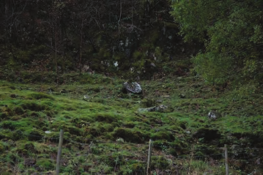 Side 1 av 6 75 Dyngeland Område avsatt til boligformål ikke bindende. Beskrivelse: Området har en del knauser med lokale brattkanter hvor det løsner stein.