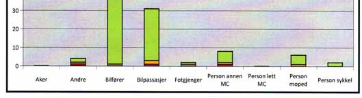 i Luster kommune i perioden 2000-2009. Er det mørkt eller lyst, berr veg eller isdekt veg når ulykkene skjer?