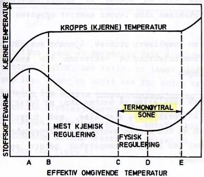 Figur 9: Temperaturregulering ved ulike temperatursoner. Punkt E og C tilsvarer øvre og nedre kritiske temperatur. Punkt B tilsvarer maksimal varmeproduksjon under konstant kjernetemperatur.