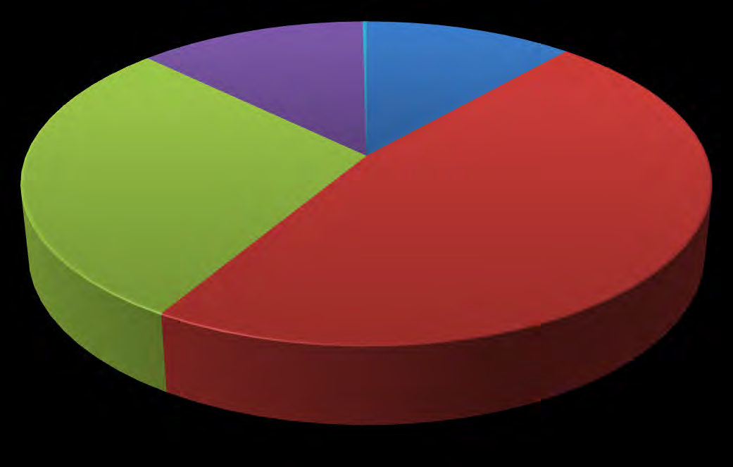 Netto driftsramme 2012 fordelt på tjenesteområdene Kultur og samfunn 13 % Prosjekt utbygging 0 % Fellestjenester 11 % Helse og velferd 29 % Oppvekst og læring 47 % Netto driftsramme 2013 fordelt på