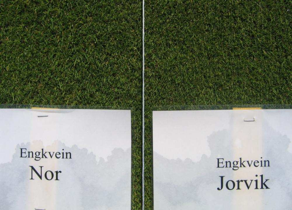 KONKLUSJON STERF-prosjekt 2003-2007 : Anbefalte sorter til greener i Skandinavia (i prioritert rekkefølge) Golfbaner med høyt driftsbudsjett og