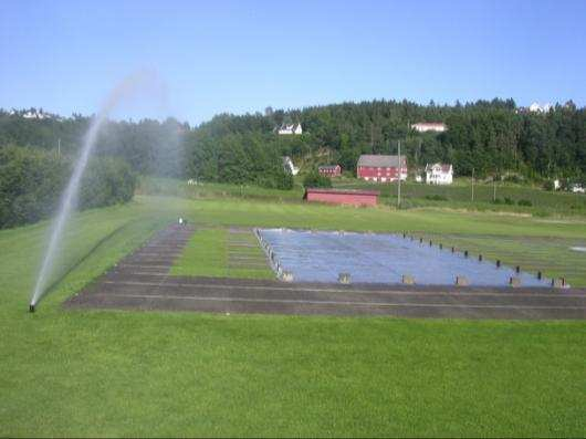 Etablering av sortsforsøk på green, Landvik, juni 2007 Demonstrasjonsfelt med ulike grasarter til