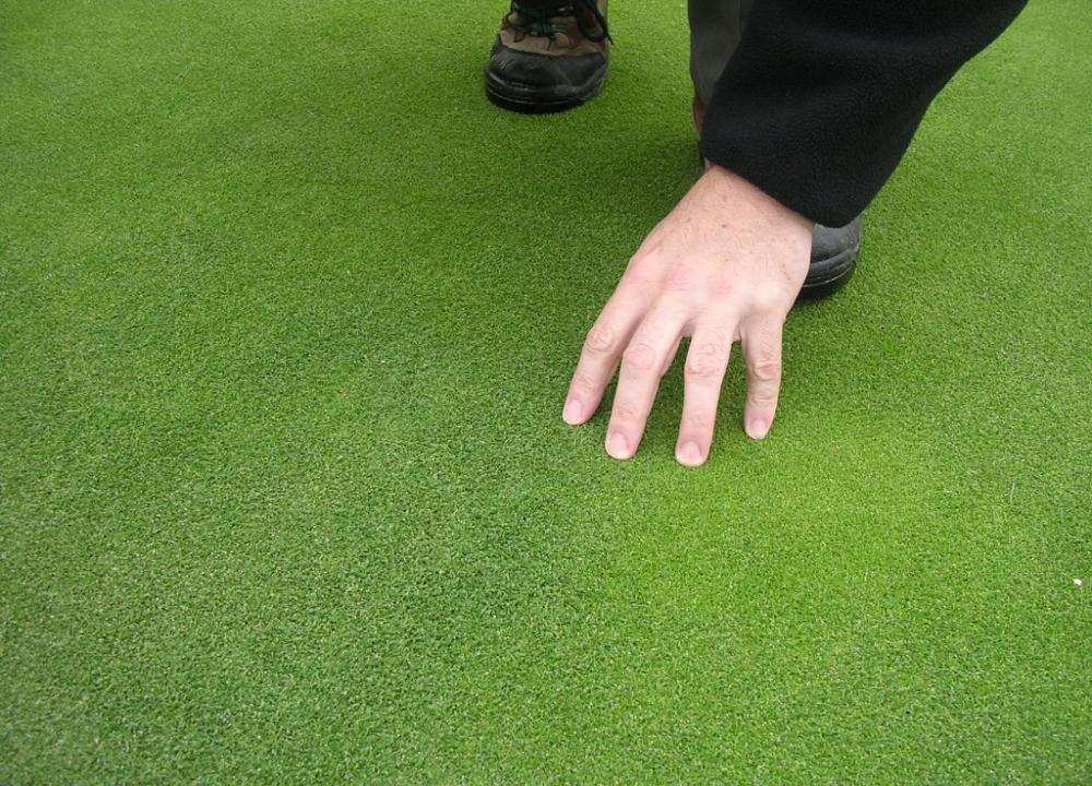 4 mm Dårligst Best Generell rangering av grasarter til golfbaner Etter skyggetoleranse Sølvbunke /