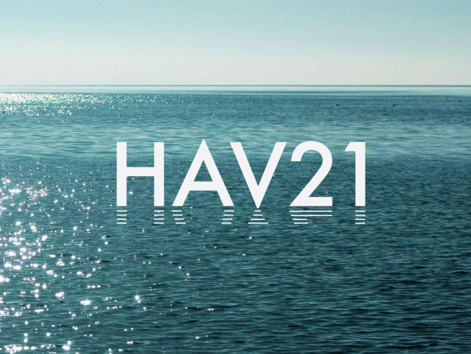 Hav21: Marin Forskningsstrategi Høste havets rikdom i dag og i morgen
