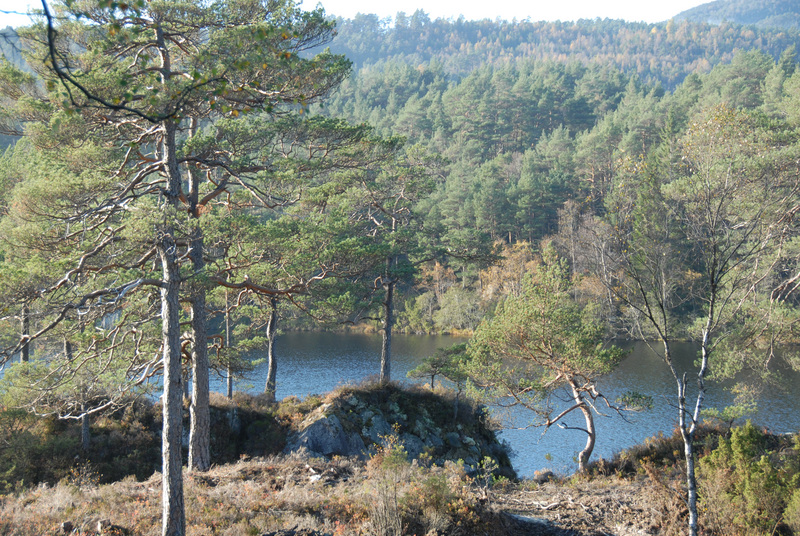 NÆROMRÅDET - Hjellemarka Områdebilder Os kommune er en moderne kommune med fokus på at innbyggerne skal kunne ha det godt og