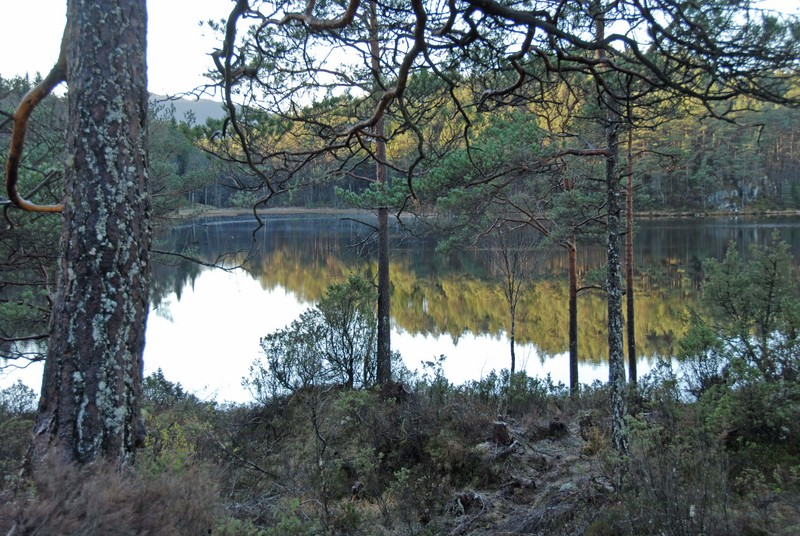 Boligene er flotte og moderne.