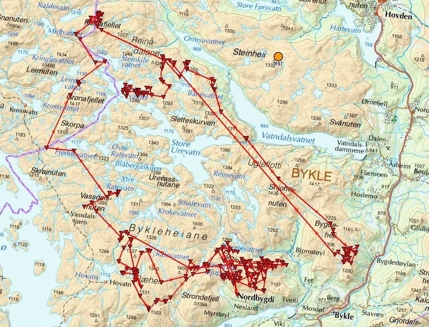 Ilustrasjonen viser simle 0157 sine posisjonar under jakta i haust. Motorferdsel Det vert framleis brukt mykje tid på oppsyn knytt til lov om motorferdsel.