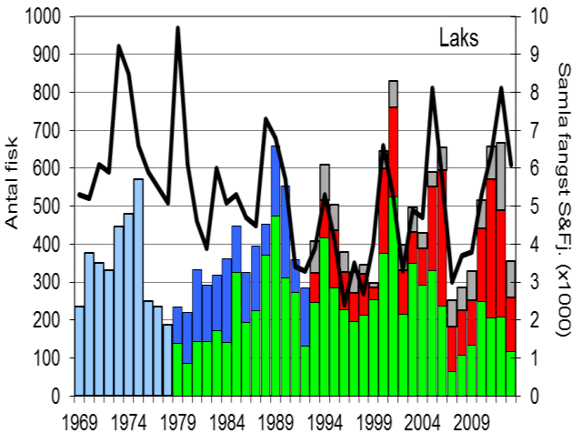 Fangststatistikk FANGST OG SKJELPRØVAR I EIDSELVA Årlege laksefangstar har stort sett variert mellom 300 og 500 fisk, sjølv om fangstane enkeltår har vore høgare (figur 1, stolpar).