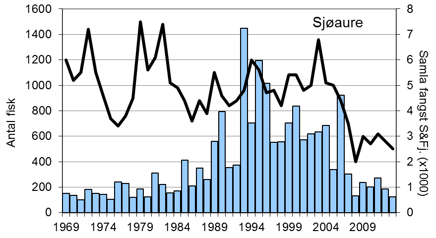 Fangstane av sjøaure har stort sett auka jamt frå midt på 1980-talet, men etter 2006 har fangstane vore låge.