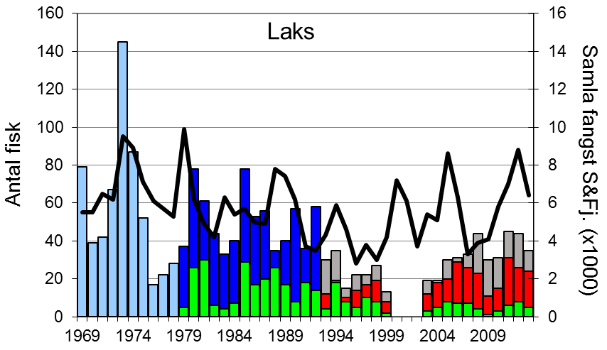 FANGST OG SKJELPRØVAR I LOENELVA Fangststatistikk I perioden 1969-2013 var gjennomsnittleg årsfangst 43 laks (snittvekt 5,8 kg) og 159 sjøaurar (snittvekt 1,4 kg). Villaksen var freda i åra 2000-2002.