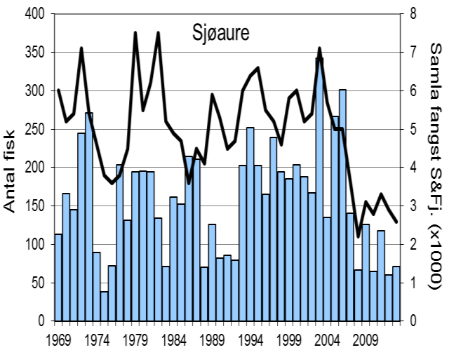 Det vart fanga 71 sjøaure i 2013 (snittvekt 2,2) kg, eit av dei dårlegaste resultatet i heile perioden.