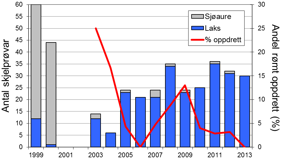 Dei siste tre åra har ein del av laksane og sjøaurane vorte sette ut att i elva, i 2013 utgjorde det høvesvis 9 og 3 % av den registrerte fangsten. Skjell 2013 FIGUR 1.