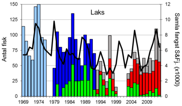 FANGST OG SKJELPRØVAR I OLDENELVA Fangststatistikk I perioden 1969-2013 var gjennomsnittleg årsfangst 75 laks (snittvekt 6,6 kg) og 153 sjøaurar med snittvekt på 1,7 kg.