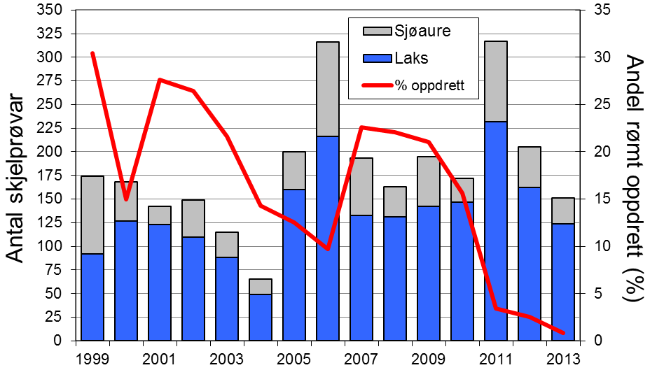 Dei siste 5 åra har 15-30 % av laksane vorte sett ut att i elva, i 2013 vart 17 % sett ut att. Fangstane av sjøaure har variert, men hatt ein minkande tendens dei siste åra.