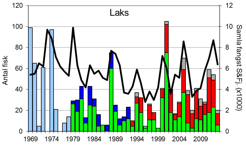 FANGST OG SKJELPRØVAR I RYGGELVA Fangststatistikk I perioden 1969-2013 var gjennomsnittleg årsfangst 34 laks og 20 sjøaurar, i 2013 vart det fanga 20 laks (snittvekt 4,6 kg) og 9 sjøaure (snittvekt