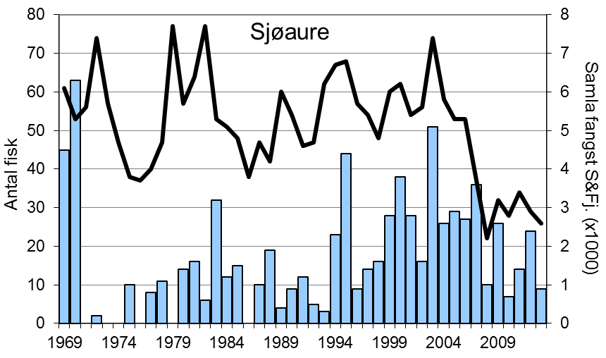 Fangstutviklinga av både laks og sjøaure er stort sett i tråd med den ein ser i resten av fylket (figur 1, linjer), sjølv om det avvik enkelte år. M.a. er reduksjonen i fangst frå 2012 til 2013 noko sterkare enn i dei fleste andre elvar i fylket.