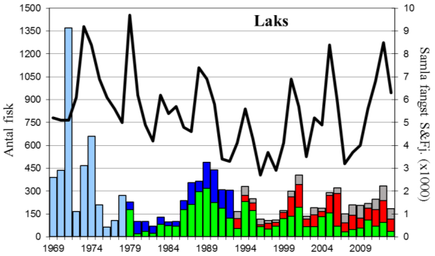 FANGST OG SKJELPRØVAR I Å-/OMMEDALSELVA Fangststatistikk I perioden 1969-2013 var gjennomsnittleg årsfangst 269 laks (snittvekt 4,2 kg) og 229 sjøaurar (snittvekt 1,6 kg).