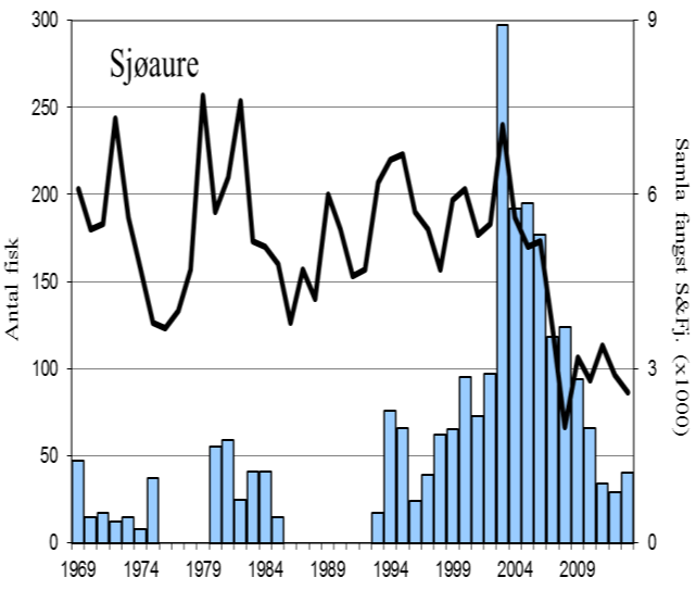 FANGST OG SKJELPRØVAR I HOPSELVA I HYEN Fangststatistikk I perioden 1969-2013 var gjennomsnittleg årsfangst 52 laks (snittvekt 3,8 kg), i 2013 vart det fanga 55 laks (snittvekt 4,3 kg; figur 1,