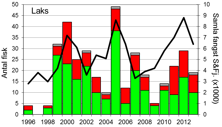 Fangsten av sjøaure har gått jamt og trutt nedover sidan 2001, sjølv om resultatet i 2012 og 2013 er litt betre enn dei føregåande åra.