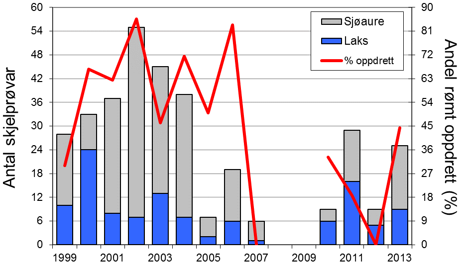 Fangst av laks og sjøaure i Indrehuselva i perioden 1986-2013 (stolpar). Det er skild mellom smålaks (<3 kg, grøn), mellomlaks (3-7 kg, raud) og storlaks (>7 kg, grå).