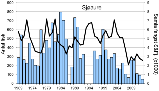 Fangststatistikk FANGST OG SKJELPRØVAR I JØLSTRA I perioden 1969-1992 var gjennomsnittleg årsfangst 462 laks med snittvekt på 4,8 kg, og 387 sjøaurar med snittvekt på 1,3 kg.