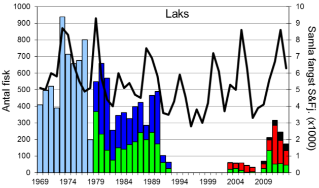 I 2013 vart det fanga 49 sjøaure (figur 1, stolpar), det nest dårlegaste resultatet for heile perioden. Sjøaurefangstane gjekk nedover frå 2000-2008, men auka att dei to neste åra.