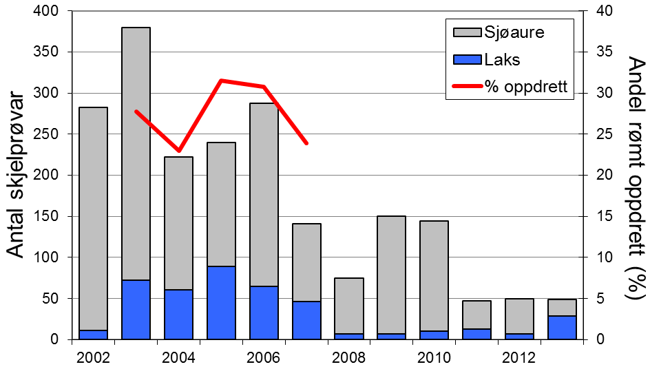 Dei siste fem åra er mellom 44 og 65 % av sjøaurane sette ut att i elva. Skjell 2013 FIGUR 1. Fangst av laks og sjøaure i Jølstra i perioden 1969-2013 (antal, stolpar).