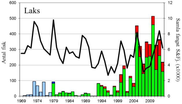 FANGST OG SKJELPRØVAR I STORELVA I DALE Fangststatistikk I perioden 1969-2013 var gjennomsnittleg årsfangst 106 laks og 39 sjøaurar.