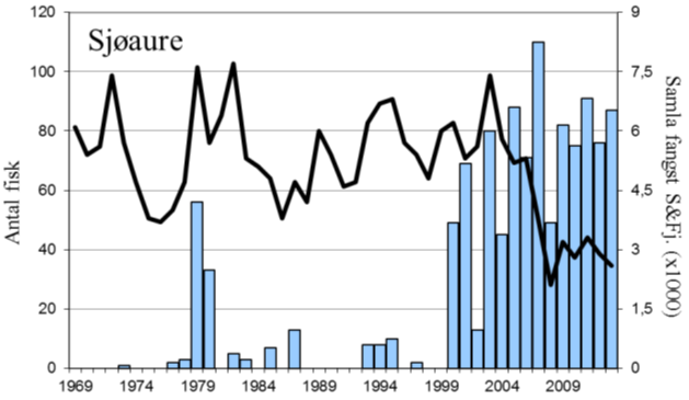 Snittfangst for perioden 2005-13 er 343 laks per år, i 2013 vart det fanga 219 laks (snittvekt 2,3 kg), ein markert nedgang frå året før. Sjøaurefangstane har vore høge sidan 2000, med unntak av 2002.