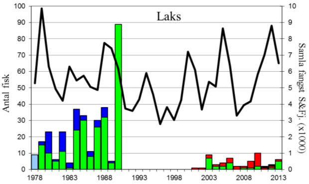 FANGST OG SKJELPRØVAR I VETLEFJORDELVA Fangststatistikk Det ligg føre fangststatistikk for åra 1978-2013. I denne perioden var gjennomsnittleg årsfangst 82 sjøaure, med ei snittvekt på 1,3 kg.