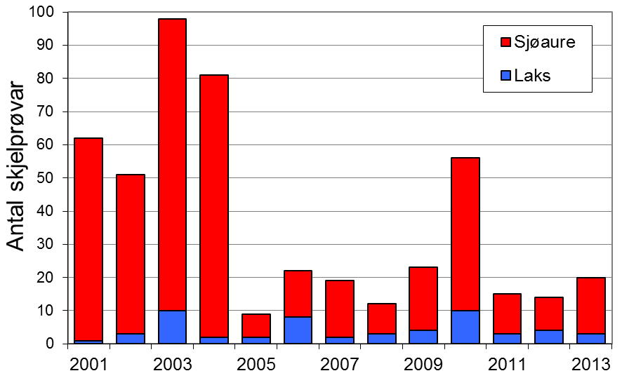 I perioden 1978-90 vart det fanga i snitt 25 laks per år, men mellomårsvariasjonen var stor (figur 1).