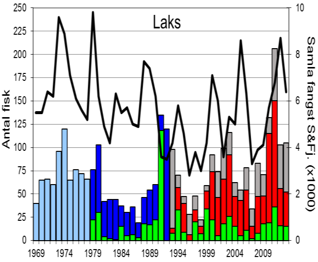 Sjølv om fangsten i 2012 og 2013 (høvesvis 103 og 105 laks) var halvert i høve til 2011, var det likevel av dei beste fangstane i perioden.