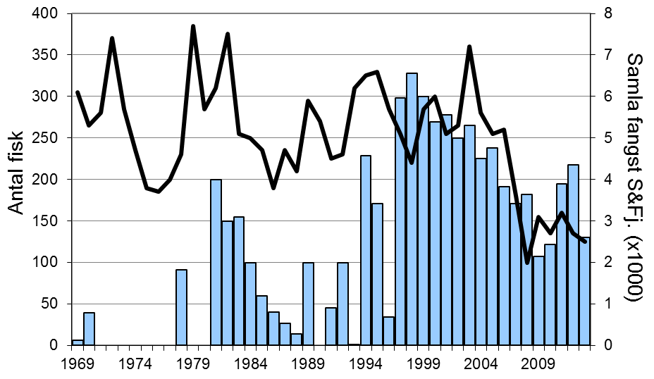 FANGST OG SKJELPRØVAR I JOSTEDØLA Fangststatistikk I perioden 1969-2013 var gjennomsnittleg årsfangst 152 sjøaurar (snittvekt 1,7 kg) og 5 laks (snittvekt 5,5 kg).