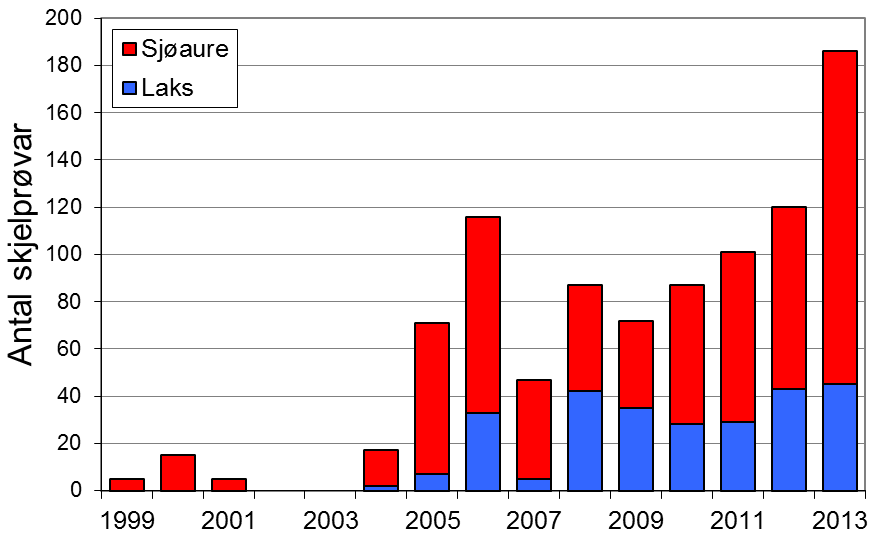 I perioden 1969-1989 var gjennomsnittleg årsfangst 36 laks med snittvekt på 4,0 kg, i perioden 1990-2002 var laksen freda. I 2012 vart det fanga 77 laks (snittvekt 4,4 kg).