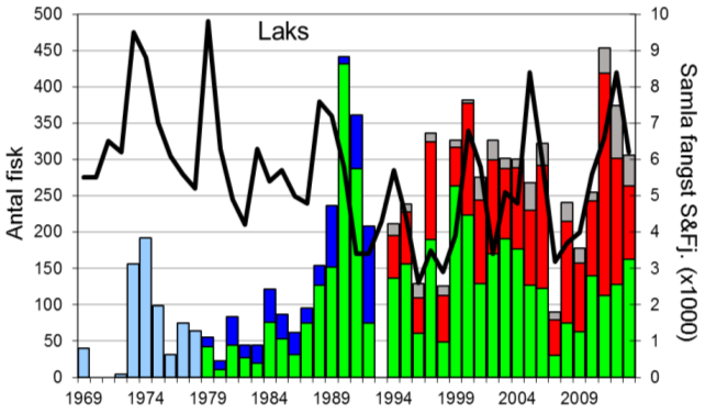 Fangststatistikk FANGST OG SKJELPRØVAR I VIKJA I perioden 1969-2013 var gjennomsnittleg årsfangst 193 laks og 28 sjøaurar.