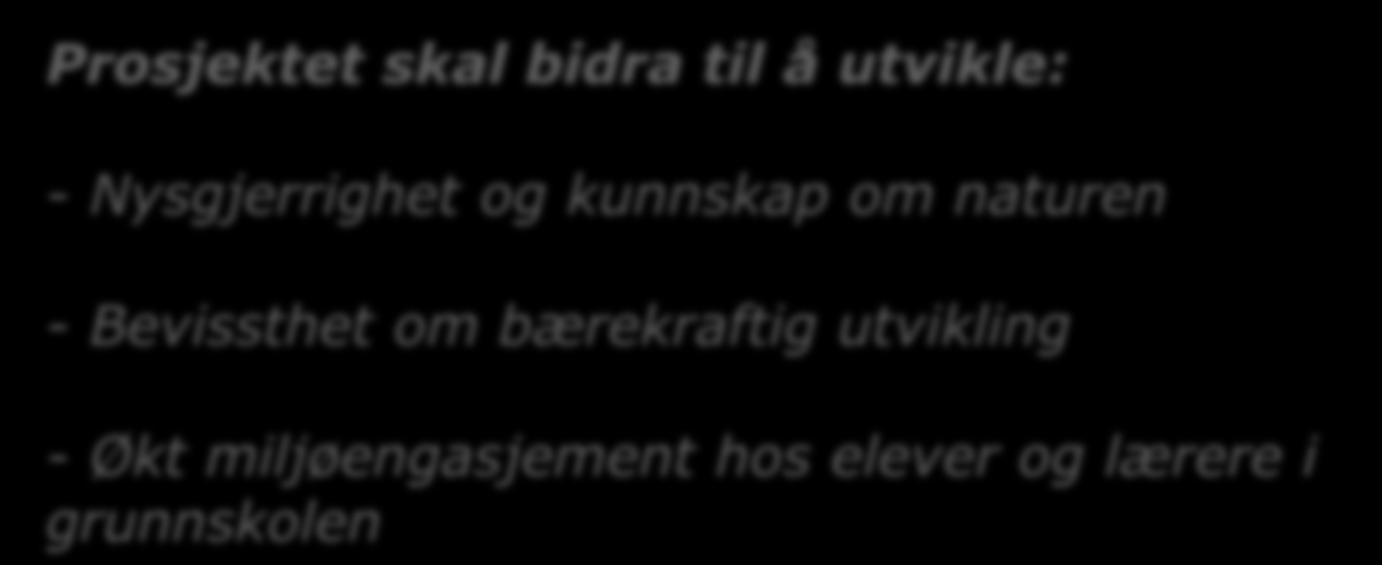 Bakgrunn Kunnskapsdepartementet og Miljøverndepartementet Lansert oktober 08 Oppstart januar 09 Prosjektet skal bidra til å utvikle: