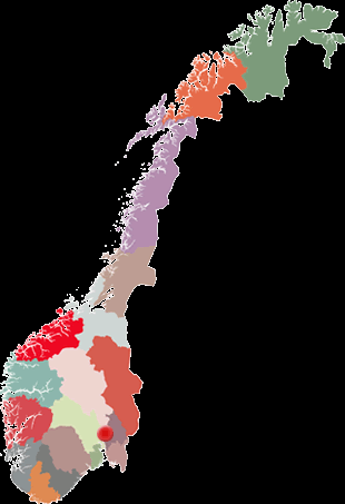 Synkronisering av data Med hjelp av SQL serveren som er motor i systemet kan denne settes opp til å synkronisere data fra forskjellige anlegg opp mot en sentral database.