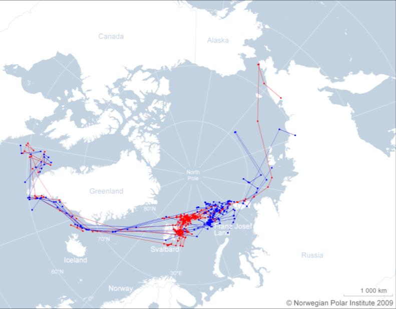 + God nøyaktighet (250 m) -