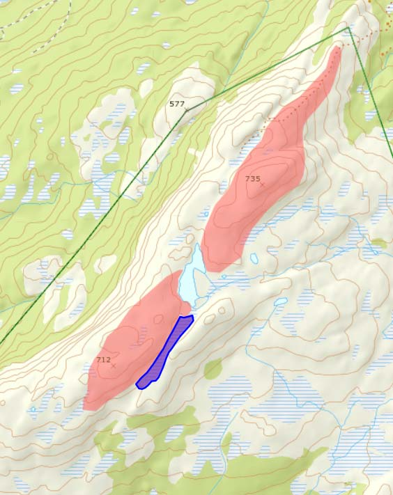 3.3 Naturtyper Den dominerende naturtypen på Hårskallen er kalkrike områder i fjellet (figur 11), og det er her vi finner de fleste fjellartene som gjør floraen på Hårskallen så spesiell.