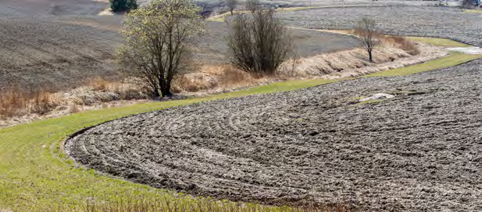 Vegetasjonssone (tidligere grasdekt buffersone) og ugjødsla randsone i eng Det gis tilskudd for striper tilsådd med gras på fulldyrket areal a) langs åpen grøft, bekk, elv eller sjø (buffersone), b)