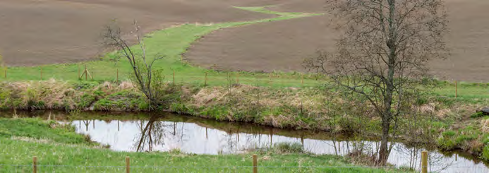 Grasdekt vannvei isådd kløver Det gis tilskudd til gras i dråg. et gjelder i åkerareal. Det kan ikke gis tilskudd til grasdekte vannveier i eng.